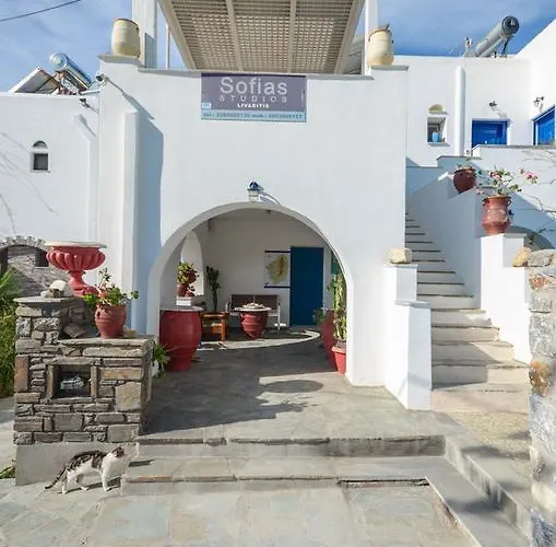 公寓式酒店 索非亚一室公寓酒店 3*